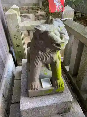 氷室神社の狛犬