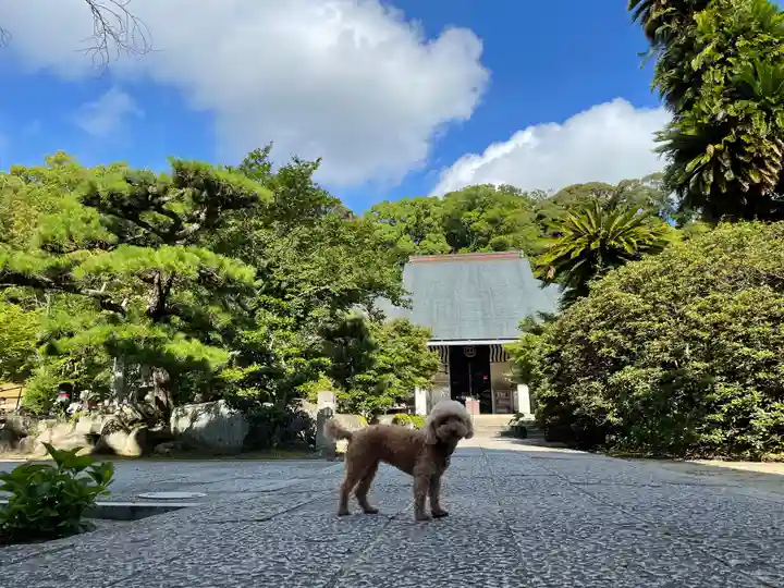 伊勢の国 四天王寺の動物