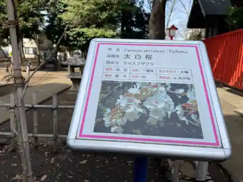 村富神社(神奈川県)