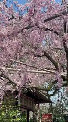 水火天満宮(京都府)