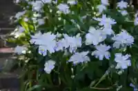 杉山谷不動尊(京都府)