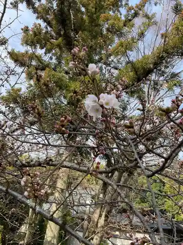 伊勢の国 四天王寺(三重県)