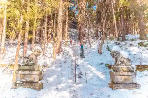 戸隠神社宝光社の狛犬