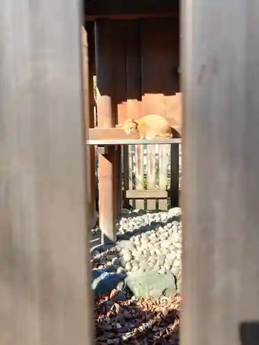 松姤社（熱田神宮摂社）の動物