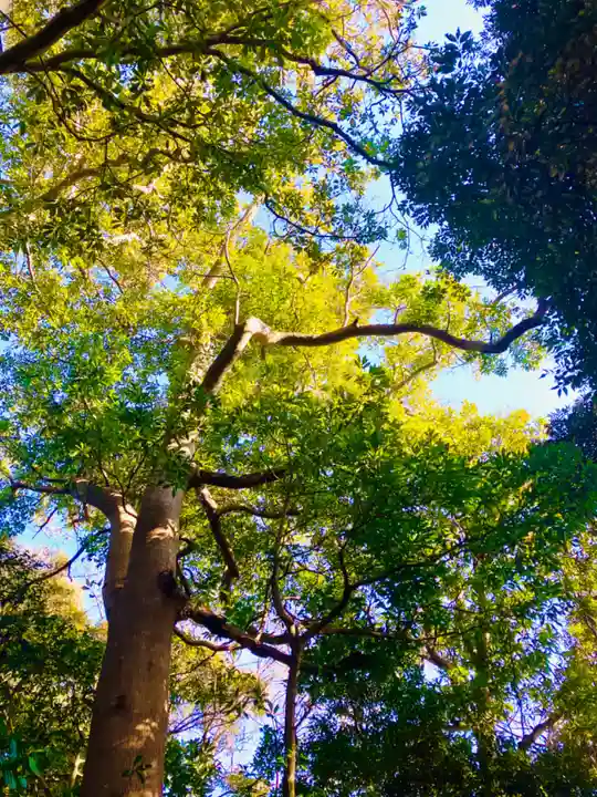 金刀比羅神社(茨城県)