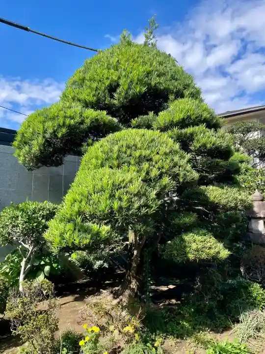 香林院(東京都)