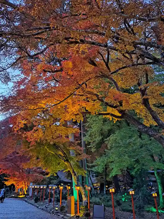 日吉大社(滋賀県)