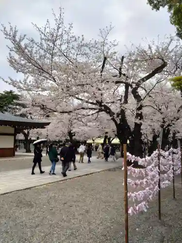 靖國神社の自然