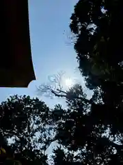 座間神社(神奈川県)