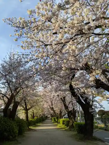伊多波刀神社(愛知県)