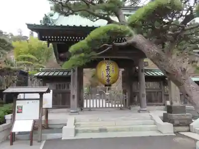 長谷寺の山門・神門