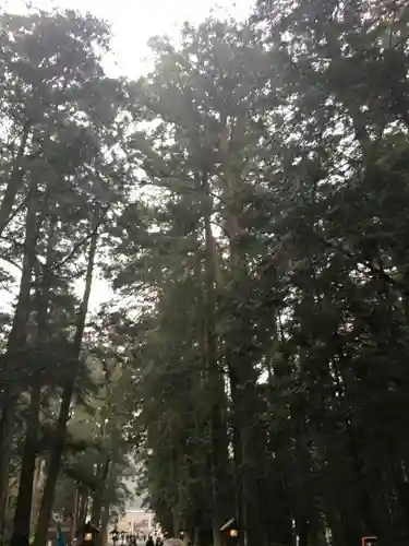 小國神社の自然