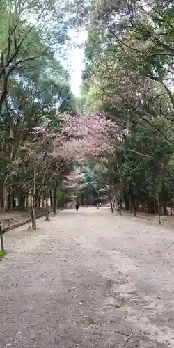 近江神宮の建物その他