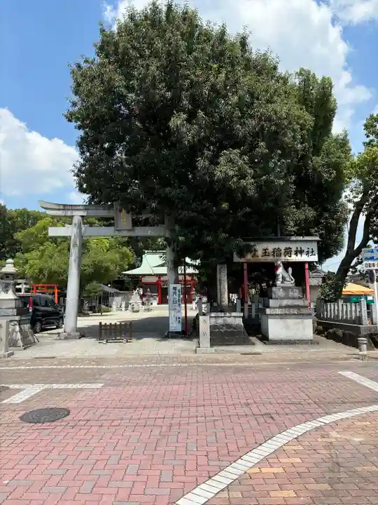 生玉稲荷神社の自然