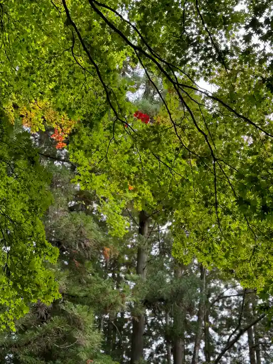 戸隠神社宝光社(長野県)