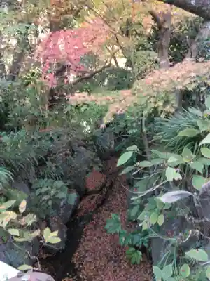 明月院(神奈川県)