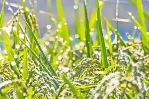 金蛇水神社(宮城県)(2024年10月08日(火) 09時24分40秒投稿)