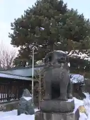 札幌護國神社の狛犬