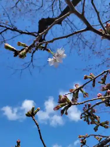 長源寺(福井県)
