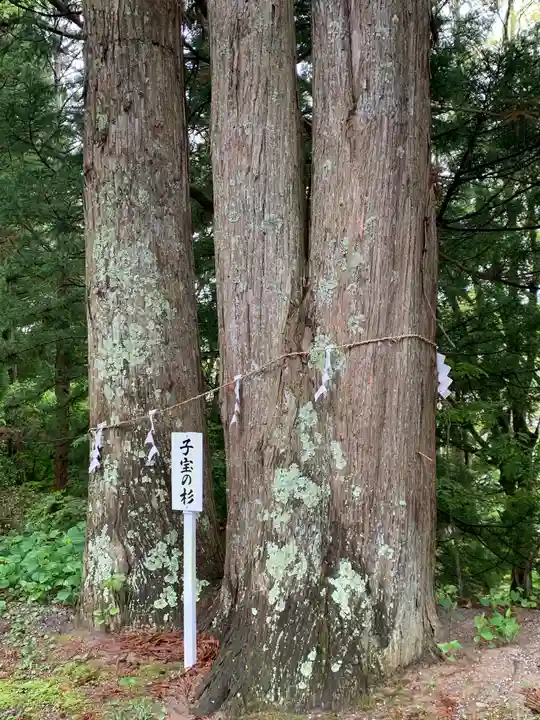 鹽竃神社の自然
