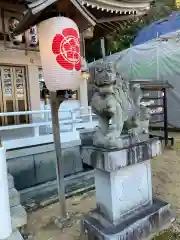 公智神社の狛犬