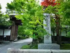 禅林寺（永観堂）の建物その他