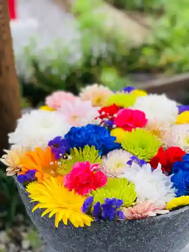 埼玉厄除け開運大師・龍泉寺（切り絵御朱印発祥の寺）(埼玉県)