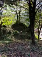 春日神社の自然