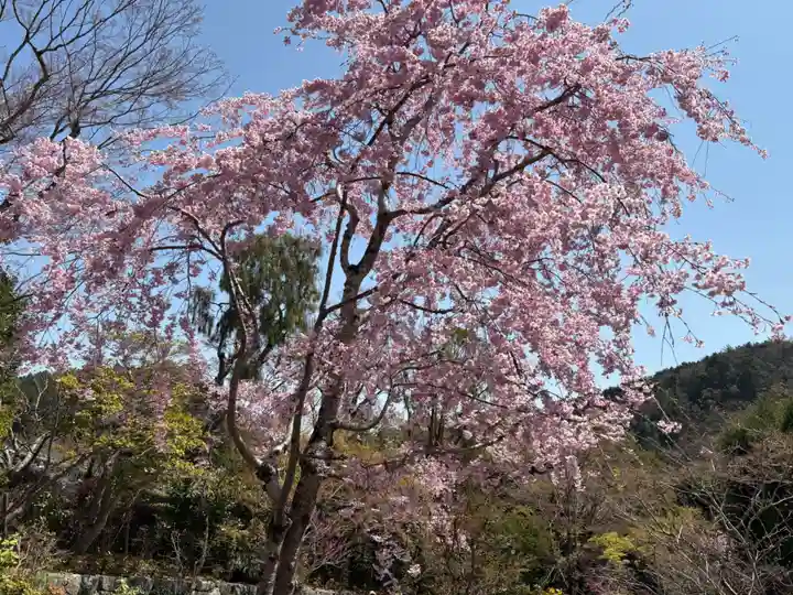 勝尾寺(大阪府)