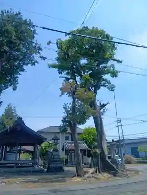 貴船神社の{uncategorized: "未分類", other: "その他", undefined: "問題あり", building: "その他建物", grave: "お墓", sacred_gate: "鳥居", guardian: "狛犬", statue: "像", buddha: "仏像", history: "歴史", nature: "自然", garden: "庭園", animal: "動物", pagoda: "塔", temizu: "手水舎", mountain_gate: "山門・神門", sanctuary: "本殿・本堂", subordinate: "末社・摂社", art: "芸術", scenery: "景色", jizo: "地蔵", ema: "絵馬", goshuin: "御朱印", omikuji: "おみくじ", items: "授与品その他", amulet: "お守り", goshuincho: "御朱印帳", eats: "食事", festival: "お祭り", votive_dance: "神楽", shichigosan: "七五三参", wedding: "結婚式", experience: "体験その他", initially: "初詣", around: "周辺", anti_infection: "感染症対策"}