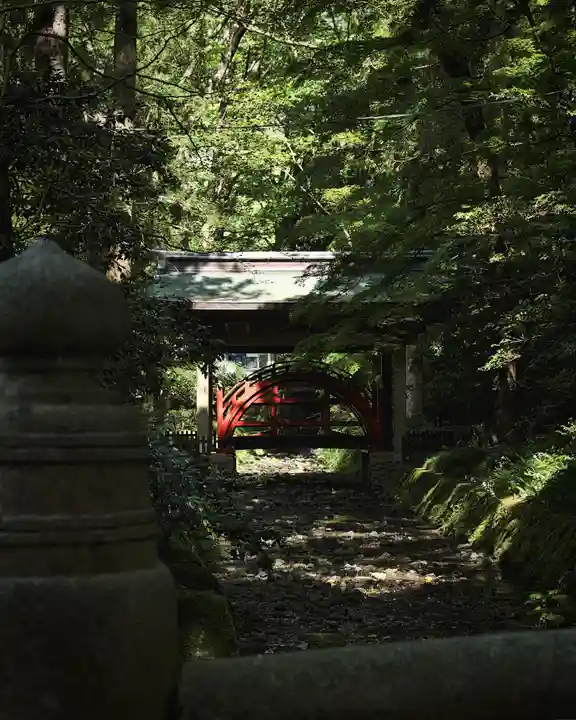 彌彦神社(新潟県)