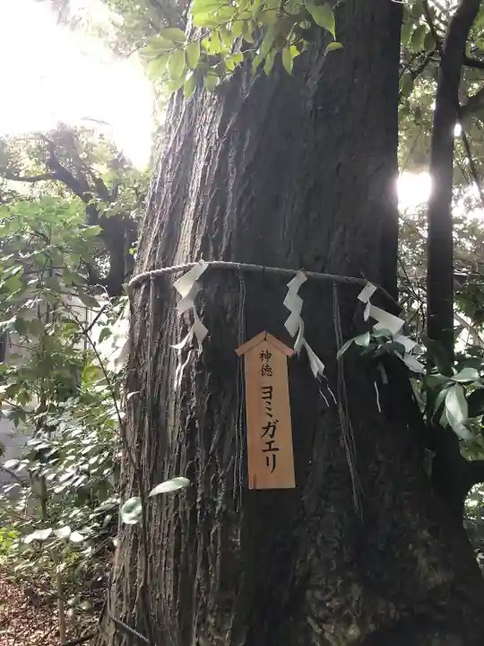 須天熊野神社(石川県)