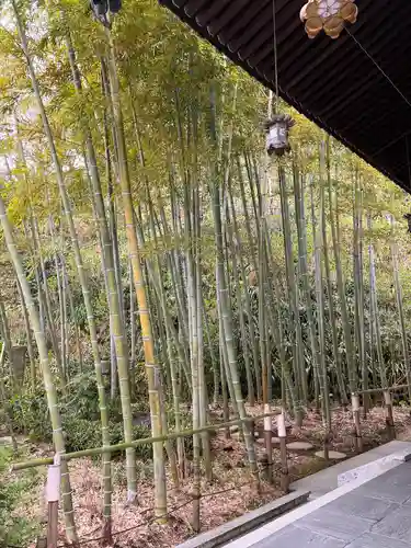 長谷寺(神奈川県)