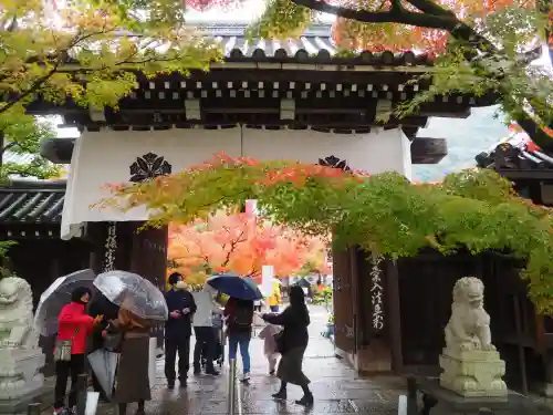 禅林寺（永観堂）(京都府)