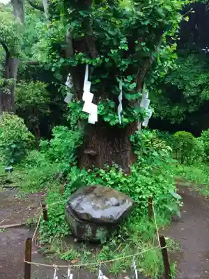 江島神社(神奈川県)