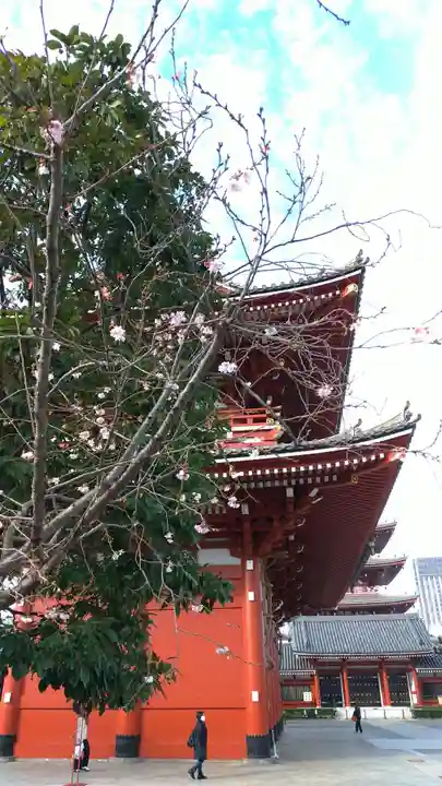浅草寺のその他建物