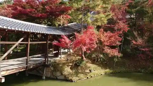 高台寺（高台寿聖禅寺・高臺寺）の{uncategorized: "未分類", other: "その他", undefined: "問題あり", building: "その他建物", grave: "お墓", sacred_gate: "鳥居", guardian: "狛犬", statue: "像", buddha: "仏像", history: "歴史", nature: "自然", garden: "庭園", animal: "動物", pagoda: "塔", temizu: "手水舎", mountain_gate: "山門・神門", sanctuary: "本殿・本堂", subordinate: "末社・摂社", art: "芸術", scenery: "景色", jizo: "地蔵", ema: "絵馬", goshuin: "御朱印", omikuji: "おみくじ", items: "授与品その他", amulet: "お守り", goshuincho: "御朱印帳", eats: "食事", festival: "お祭り", votive_dance: "神楽", shichigosan: "七五三参", wedding: "結婚式", experience: "体験その他", initially: "初詣", around: "周辺", anti_infection: "感染症対策"}