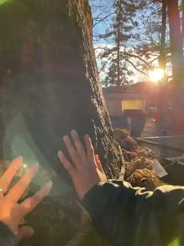 事任八幡宮の自然