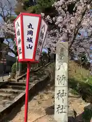 丸岡城八幡神社の建物その他