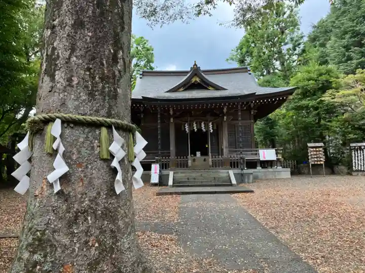 青渭神社(東京都)