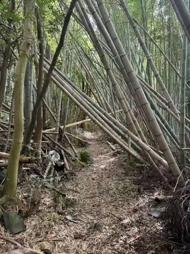 静火神社(和歌山県)
