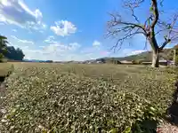 妙楽寺(滋賀県)