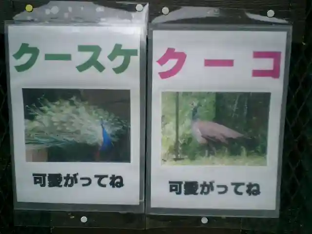 光則寺(神奈川県)