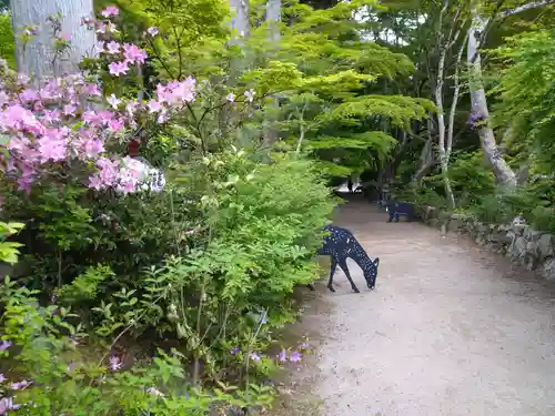 国宝　長寿寺(滋賀県)