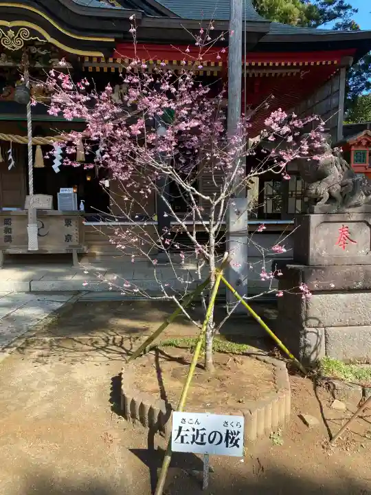 山倉大神の{uncategorized: "未分類", other: "その他", undefined: "問題あり", building: "その他建物", grave: "お墓", sacred_gate: "鳥居", guardian: "狛犬", statue: "像", buddha: "仏像", history: "歴史", nature: "自然", garden: "庭園", animal: "動物", pagoda: "塔", temizu: "手水舎", mountain_gate: "山門・神門", sanctuary: "本殿・本堂", subordinate: "末社・摂社", art: "芸術", scenery: "景色", jizo: "地蔵", ema: "絵馬", goshuin: "御朱印", omikuji: "おみくじ", items: "授与品その他", amulet: "お守り", goshuincho: "御朱印帳", eats: "食事", festival: "お祭り", votive_dance: "神楽", shichigosan: "七五三参", wedding: "結婚式", experience: "体験その他", initially: "初詣", around: "周辺", anti_infection: "感染症対策"}