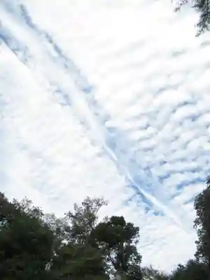 櫻木神社(千葉県)
