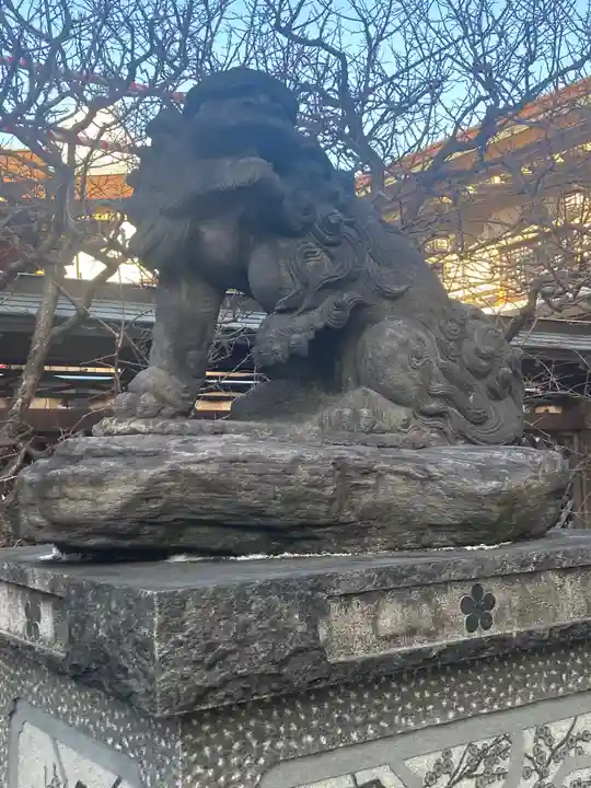 湯島天満宮の狛犬