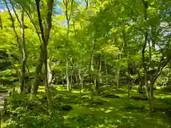 祇王寺(京都府)