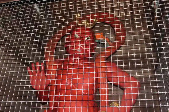 岩殿山安楽寺(吉見観音)(埼玉県)