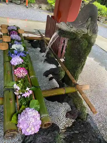 霧島神宮(鹿児島県)